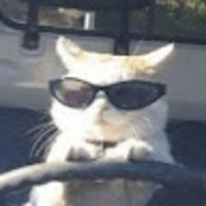 Meet your Posher, Harley